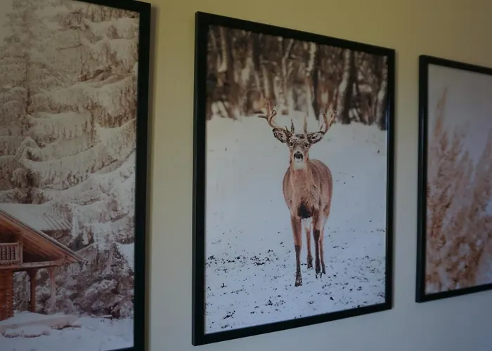 Apartament Haus Nampolach *